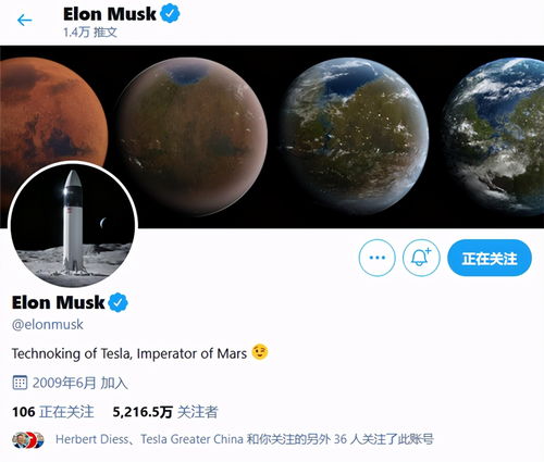 特斯拉Model 3歐洲市場強勢領跑，馬斯克發聲彰顯品牌自信